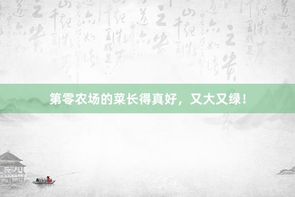 第零农场的菜长得真好，又大又绿！